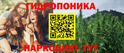 крисы Волжск