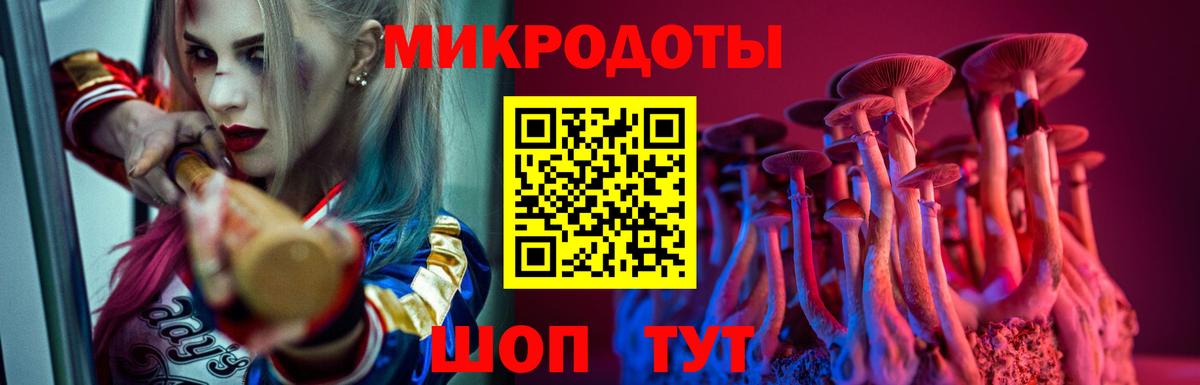 Псилоцибиновые грибы Cubensis Изобильный